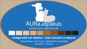 AURa-alpakas_Banner_2023WAC_02