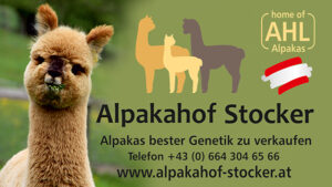 Alpakahof_Stocker_Banner2019