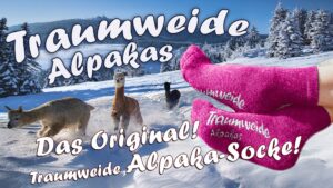 Traumweide-Banner-2025