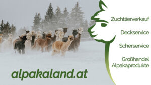 alpakaland
