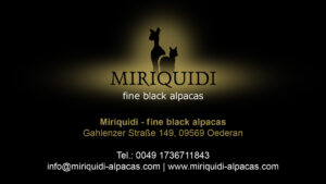 miriquidi_finde_black_alpacas_1920x1080